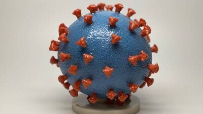 coronavirus
