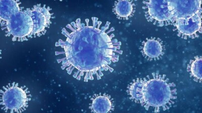 coronavirus