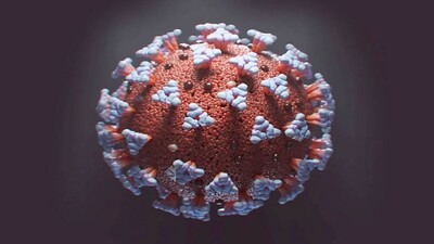 coronavirus