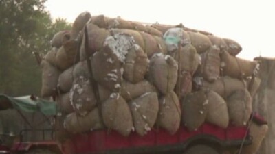 cotton-farmers-in-distress