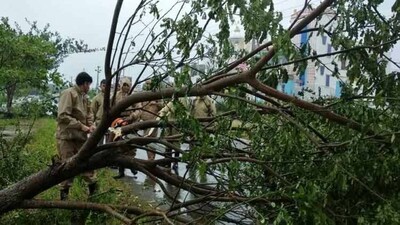 cyclone Titli