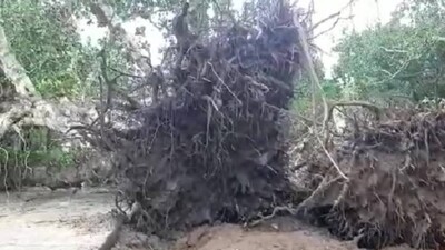 cyclone