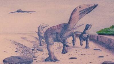 dinosaur
