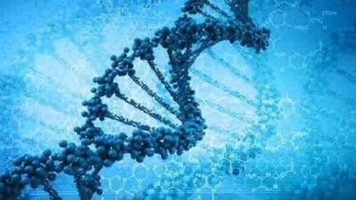 dna