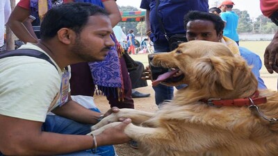 dogshow