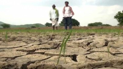 drought-situation