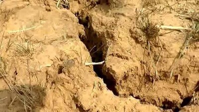 dry-land