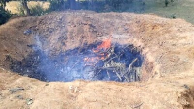 elephant-killed-in-Sundergarh
