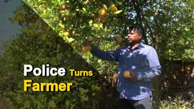 Retired Odisha Policeman Creates Flourishing Nursery In Hilly Terrain