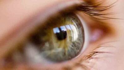 eye