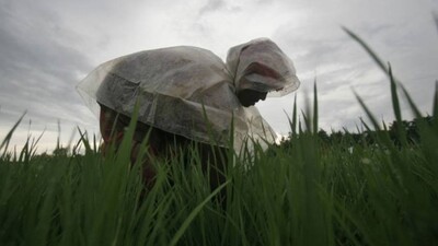 farmer-Rs-13-loan