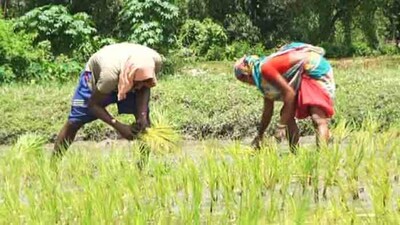 farmer-crop-insurance