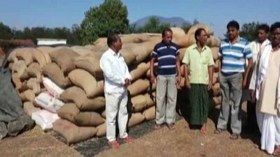 farmer-up-123