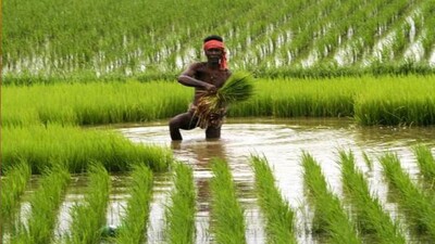farmers