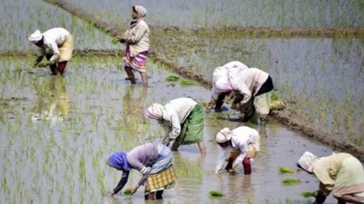 Odisha CM Releases Rs 742 Crore Assistance To Farmers Under KALIA Scheme On Nuakhai