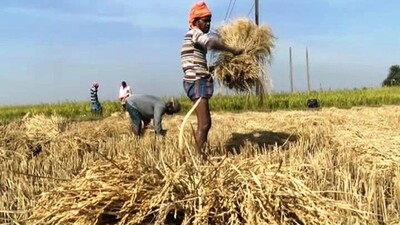 farmers