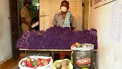 Huge Amount Of Firecrackers Seized In Cuttack, 1 Held