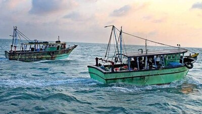 Odisha Forest Dept Suspends Official For Embezzling Fish Seized From Gahirmatha