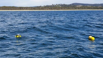 Odisha Putting In Place Floating Buoy Barriers To Check Trawler Intrusion In Gahirmatha Wildlife Sanctuary