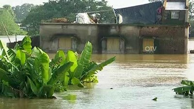 flood