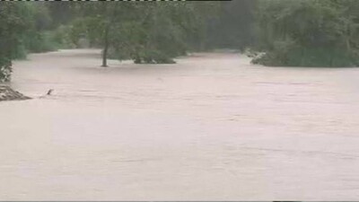 flood