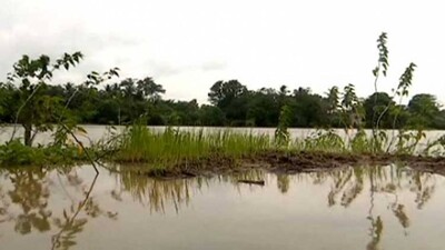 Incessant Rain, Low Pressures Worry Odisha Farmers