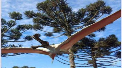 flying-reptile