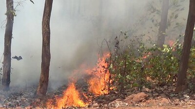 Odisha Govt Sends Team