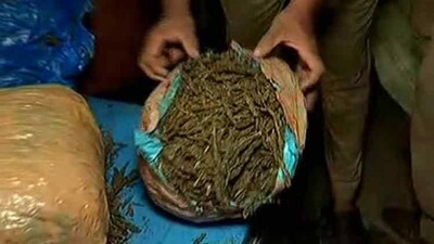 ganja-2