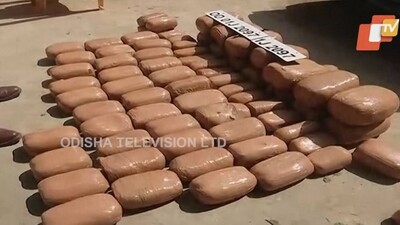 Bhubaneswar: Huge Quantity Of Ganja Loaded In Bolero Seized, 1 Held