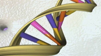gene