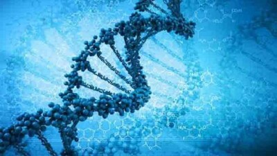 genes