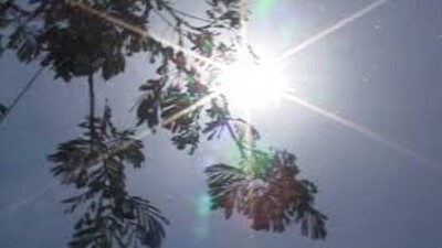 Heat Wave Warning 