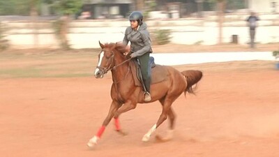 horse-squadron