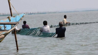 illegal-gherry-Chilika-Lake