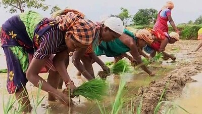 irrigation-In-Odisha