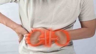 kidney