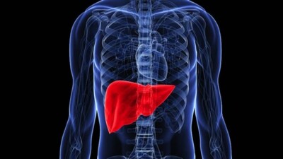 liver-600x300