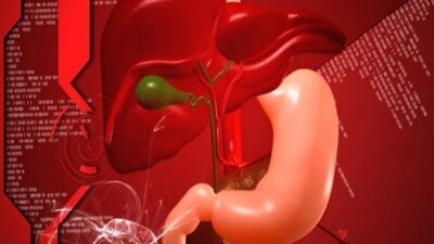 liver