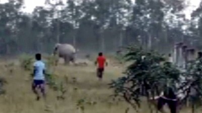 man-elephant-conflict