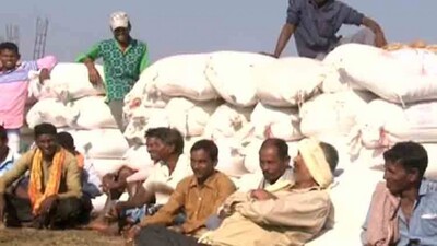 mandi-problem