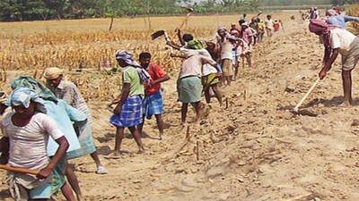 mgnregs-odisha