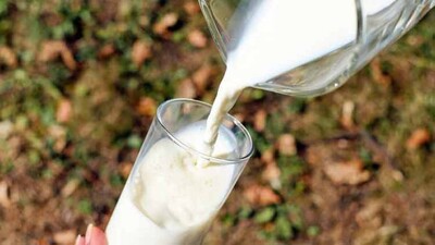 milk
