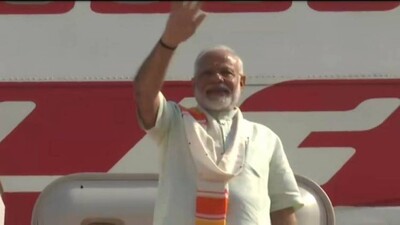 modi-leaves