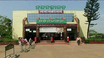 nandankanan-zoo