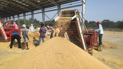 only 20% farmers avail MSP in Odisha