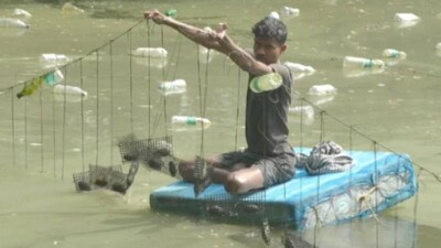 pearl-farming