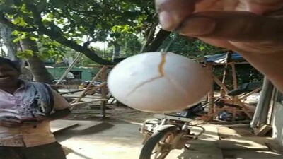 plstic-egg