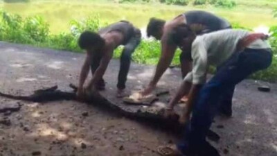 poor-road