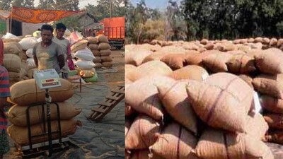 procurement in odisha